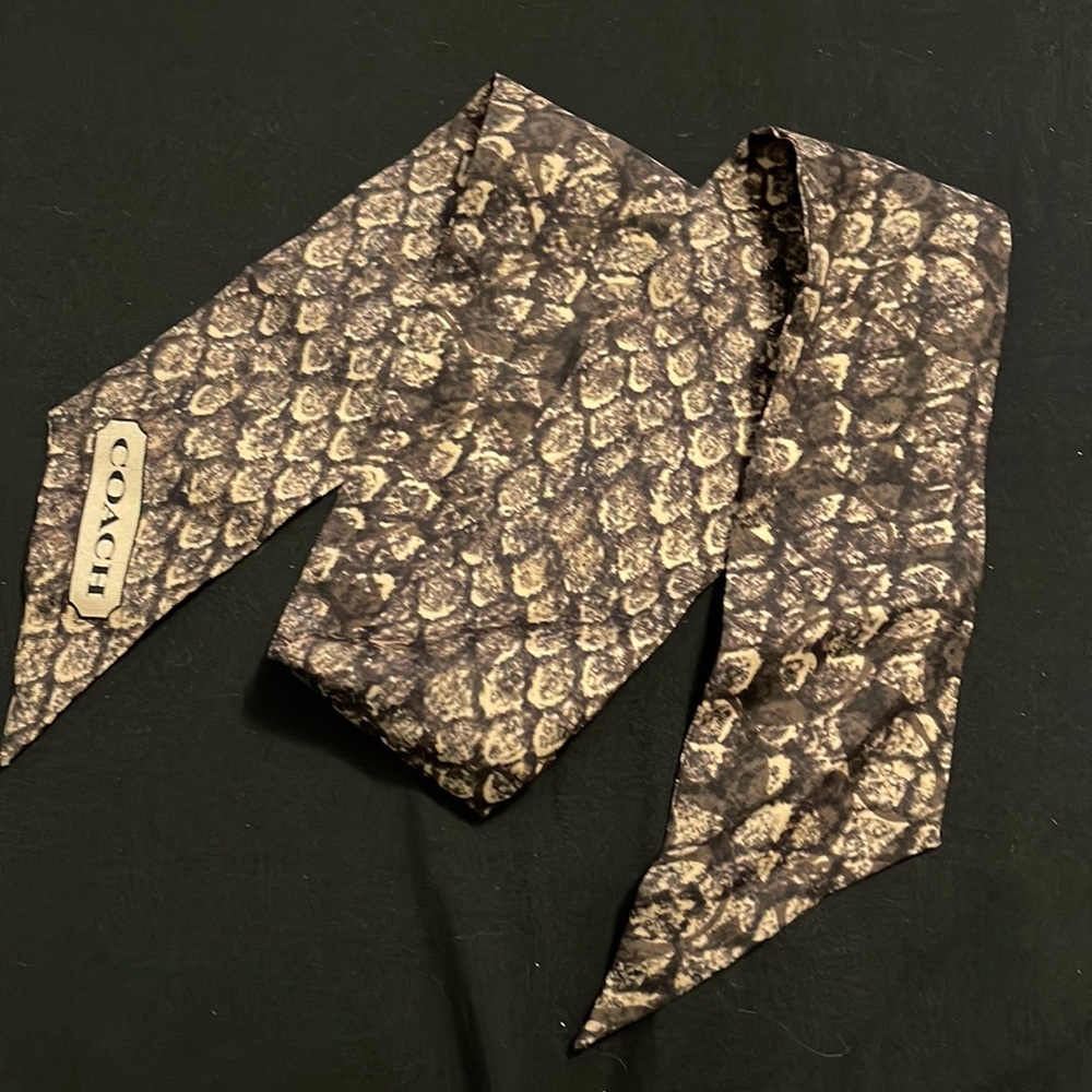 Coach pony scarf